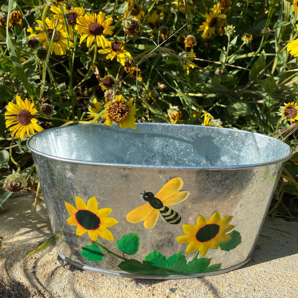 Hand painted Bumble Bee Garden Pot